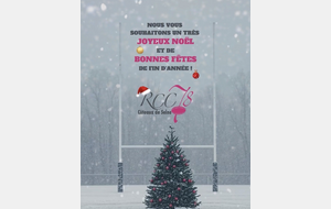 Joyeux Noël 🎄🎁