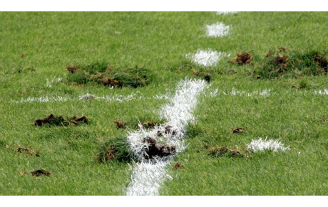 SEMAINE DU 1er AU 7 OCTOBRE