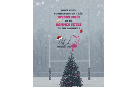 Joyeux Noël 🎄🎁